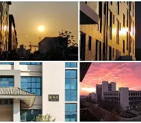 星轨记录的校园恋情为何引发公众热议