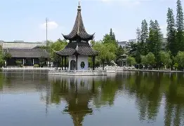 星轨记录的校园恋情为何引发公众热议